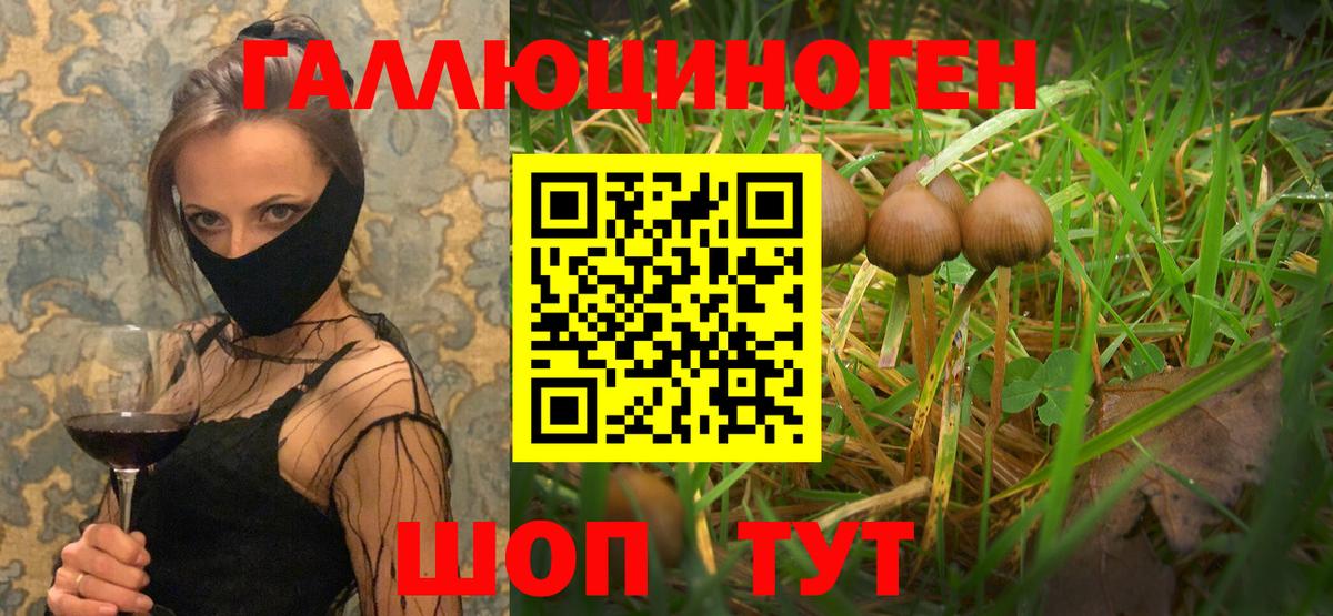 Галлюциногенные грибы мухоморы  Вход с VPN  Химки  Псилоцибиновые грибы ЛСД 